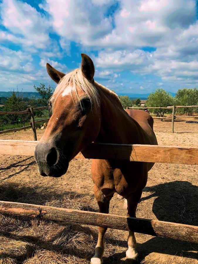 Relais Tenuta Gentili San Liberato Bagian luar foto