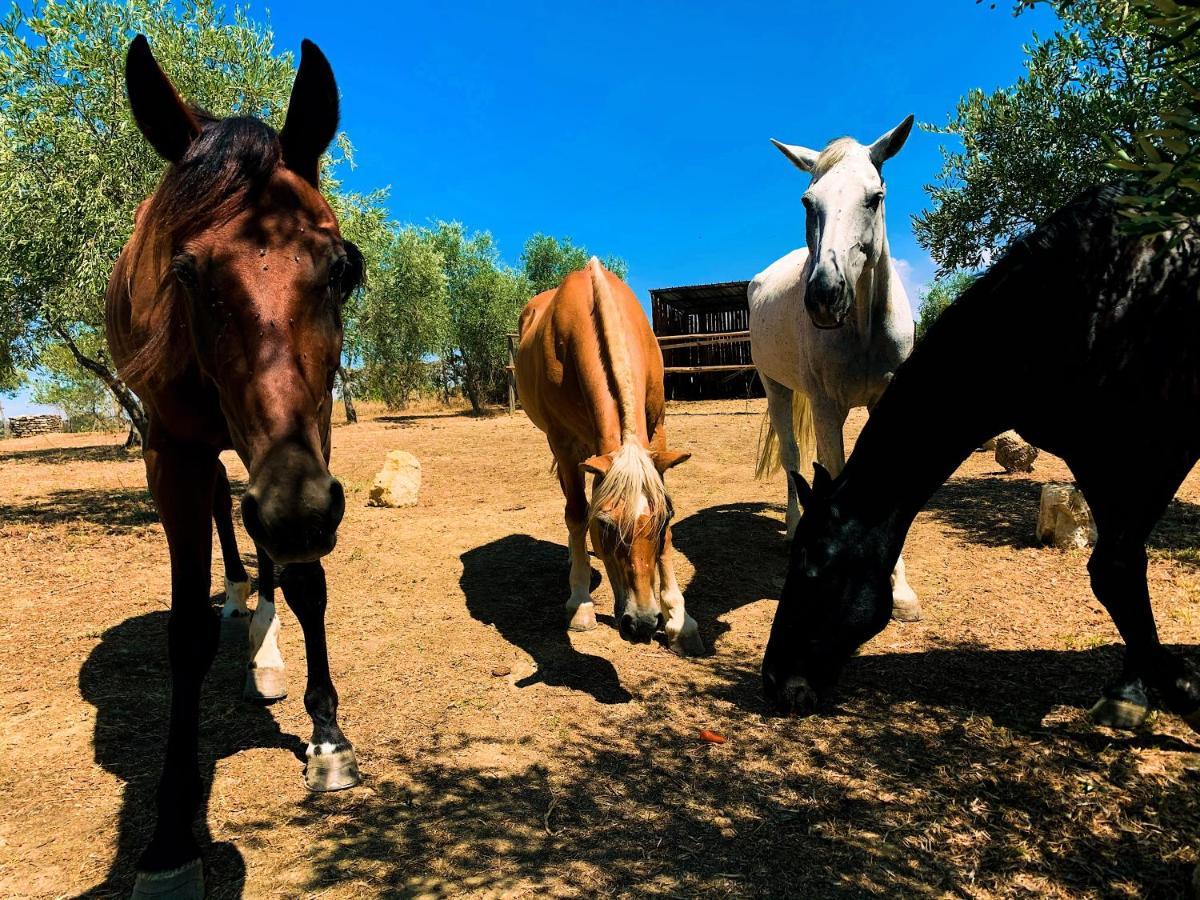Relais Tenuta Gentili San Liberato Bagian luar foto