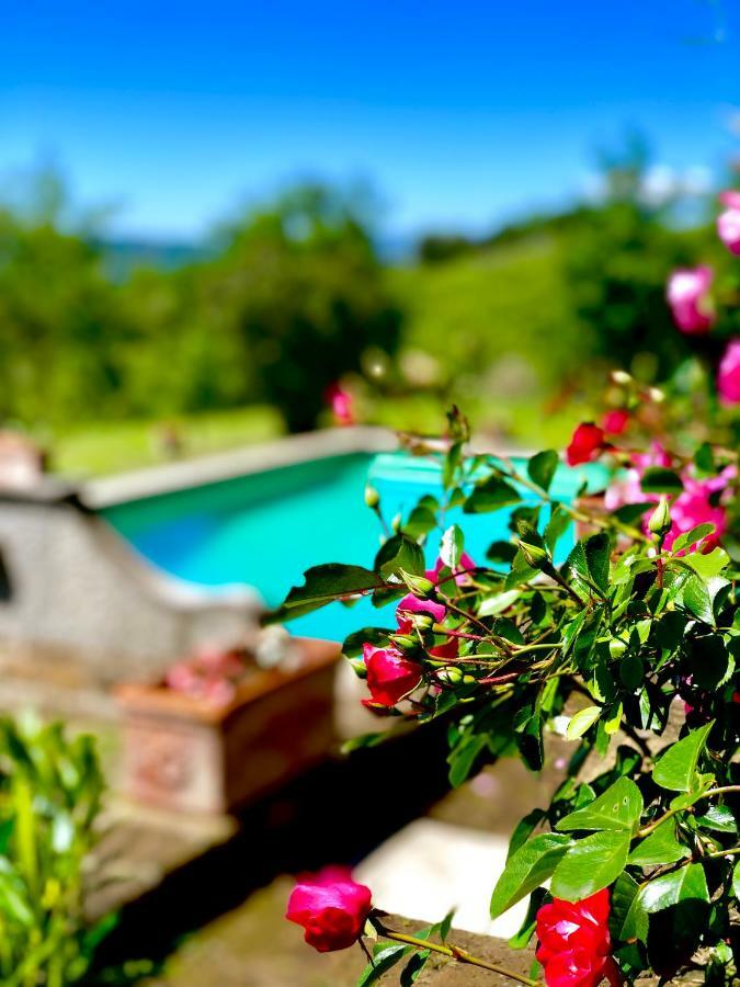 Relais Tenuta Gentili San Liberato Bagian luar foto